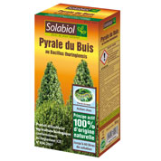pyrale du buis - solabiol